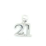 SP21104 21 PENDANT